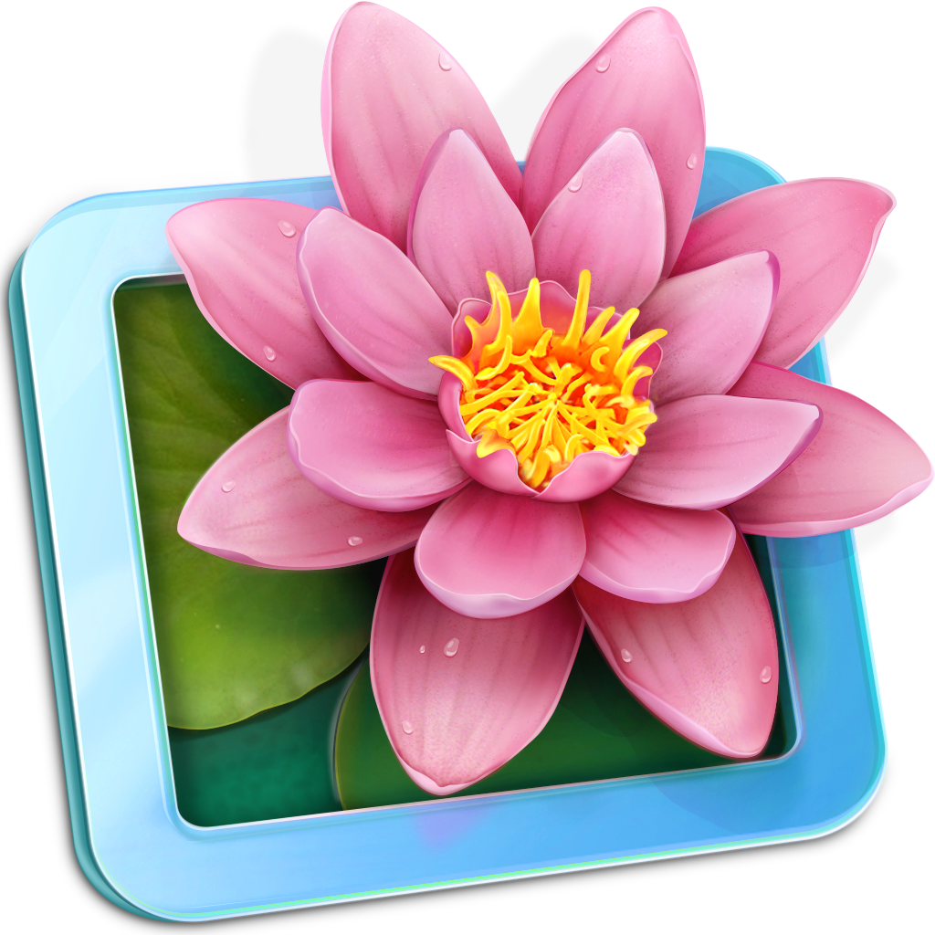 LilyView Mac版 无边框小巧的图片浏览工具