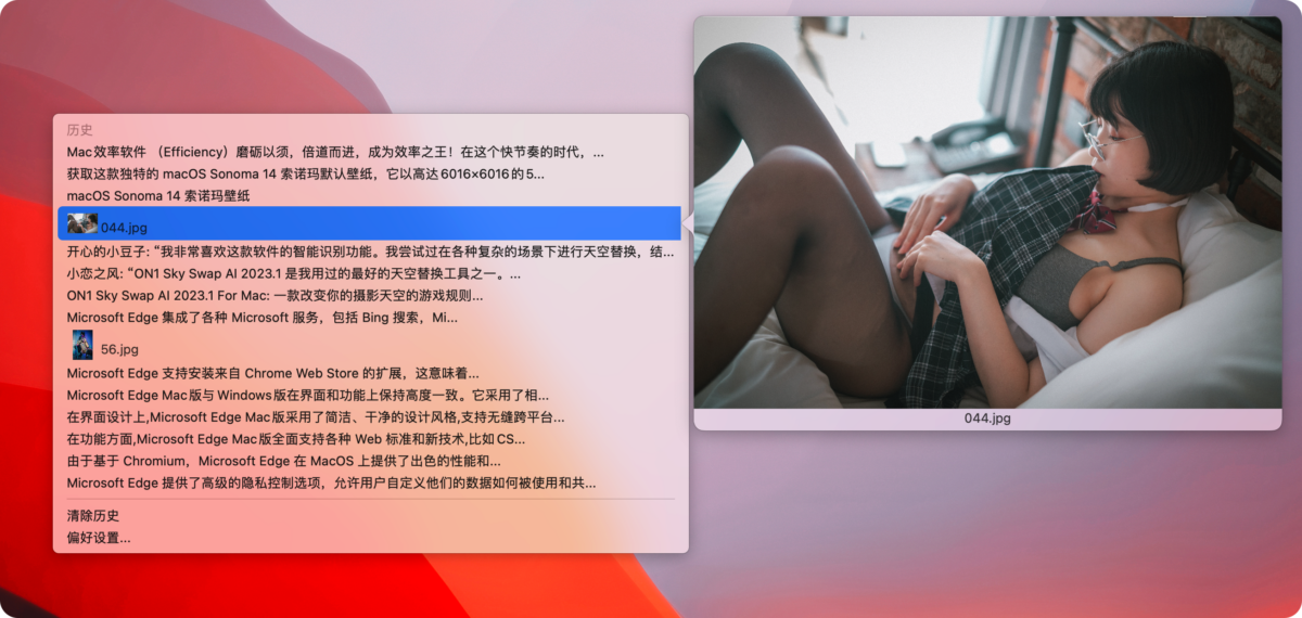 2e4b72a95a2eba667e0d3d3ef6424988-1690613518